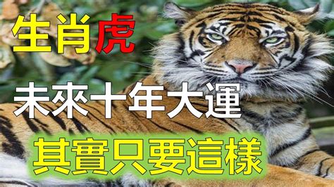 1974年屬虎運勢|生肖虎: 性格，愛情，2024運勢，生肖1989，2001，2013